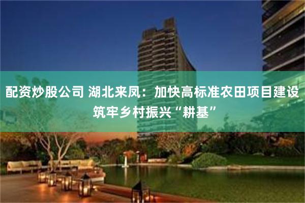 配资炒股公司 湖北来凤:加快高标准农田项目建设 筑牢乡村振兴“耕基”