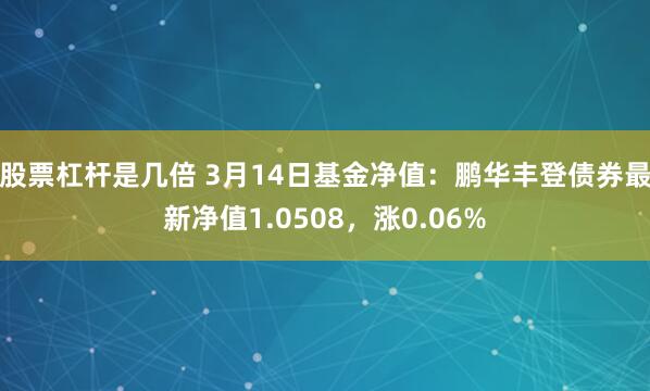股票杠杆是几倍 3月14日基金净值:鹏华丰登债券最新净值1.0508,涨0.06%