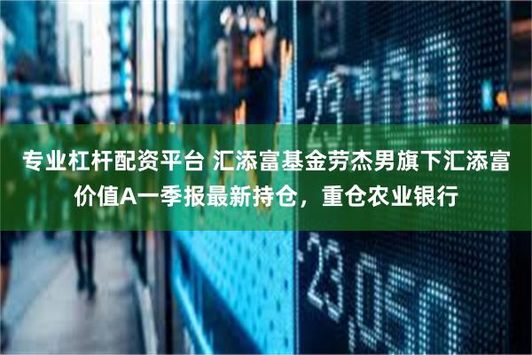 专业杠杆配资平台 汇添富基金劳杰男旗下汇添富价值A一季报最新持仓，重仓农业银行