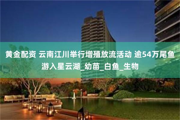 黄金配资 云南江川举行增殖放流活动 逾54万尾鱼游入星云湖_幼苗_白鱼_生物